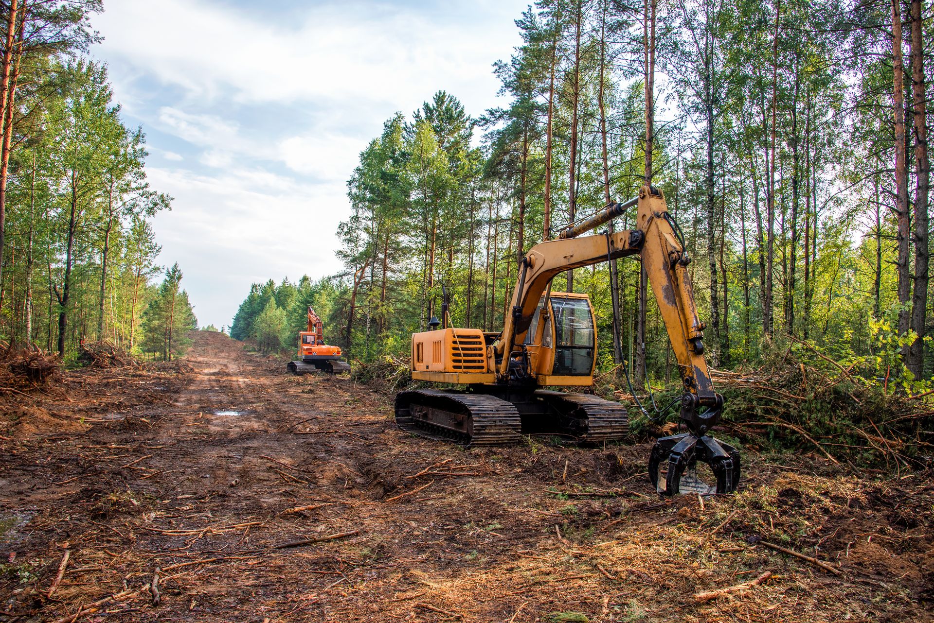 Excavators clearing a path through the woods