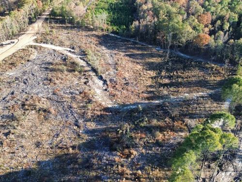 Aerial view of a harvested tract of timber