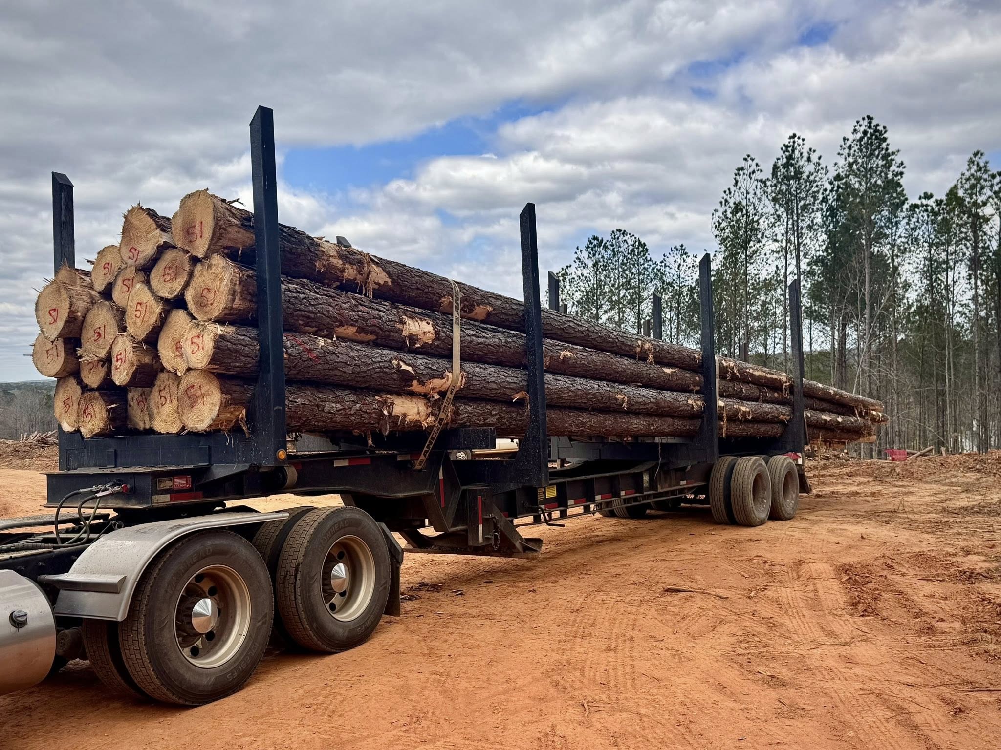 Trailer stacked with long logs ready for transport
